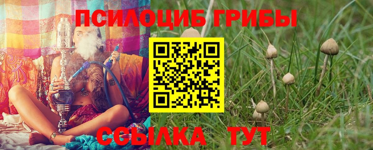 Псилоцибиновые грибы мицелий  Ачинск 